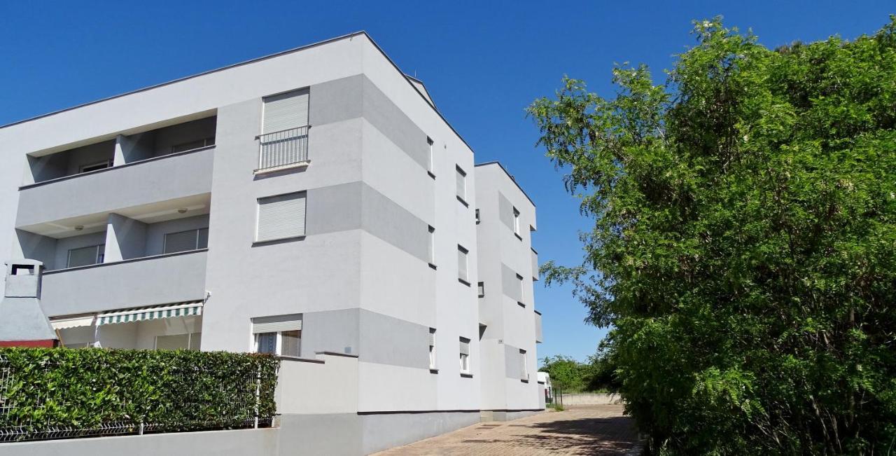 Apartment Bellavista Novigrad Istria Eksteriør billede