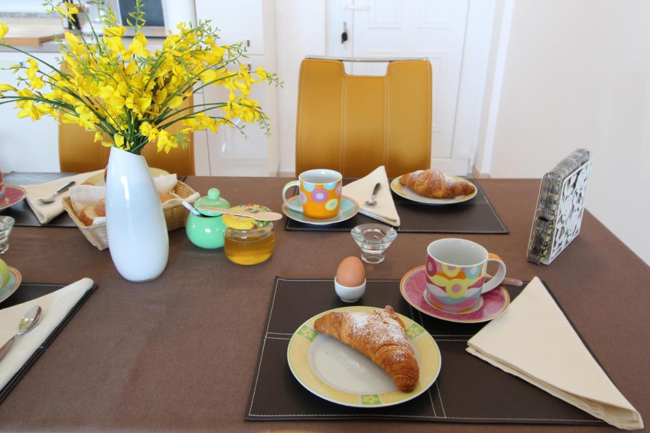Apartment Bellavista Novigrad Istria Eksteriør billede