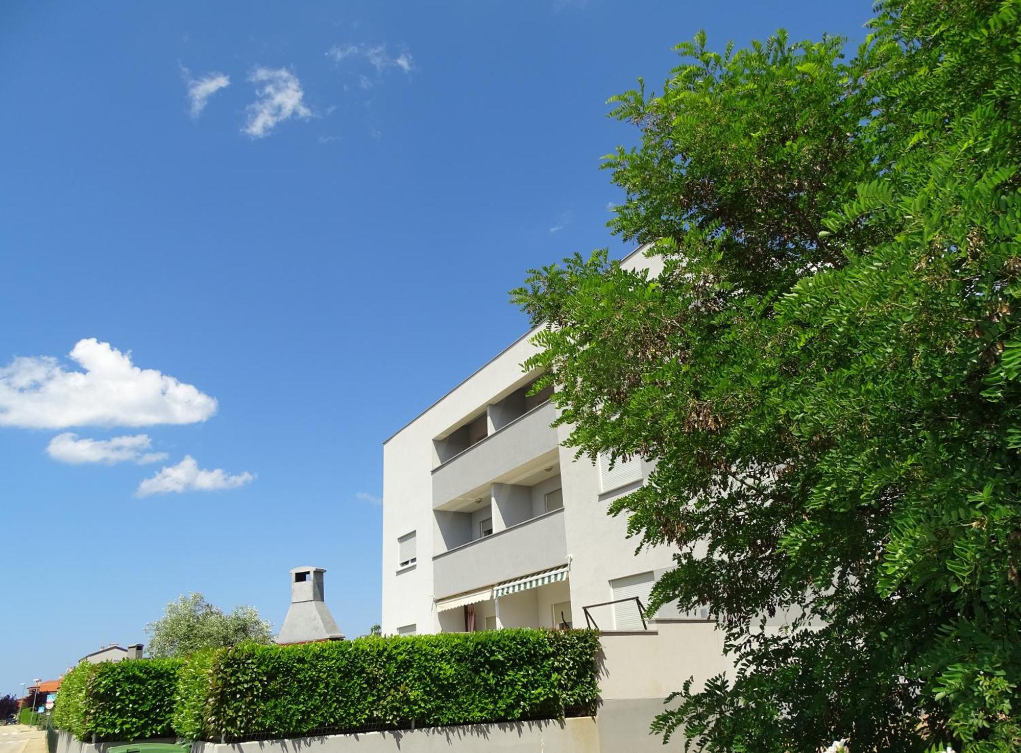 Apartment Bellavista Novigrad Istria Eksteriør billede